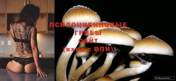 соль курить ск Абинск