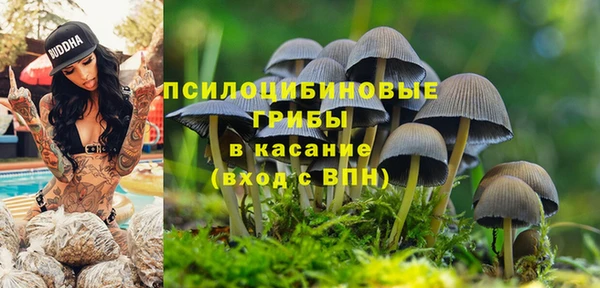 амф Абдулино